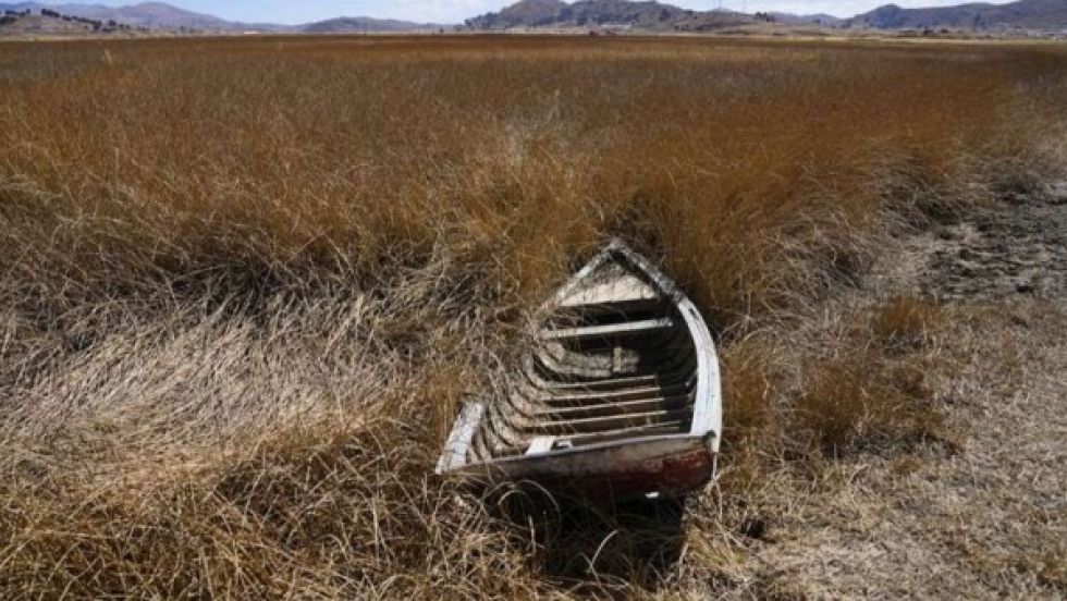 Siembra de productos y alimento de animales están en riesgo por sequía del lago Titicaca