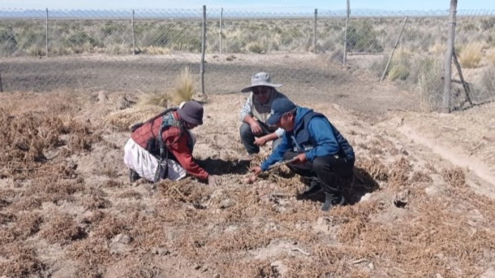 Oruro ya no cuenta con recursos y se alista para declarase en desastre departamental a falta de agua