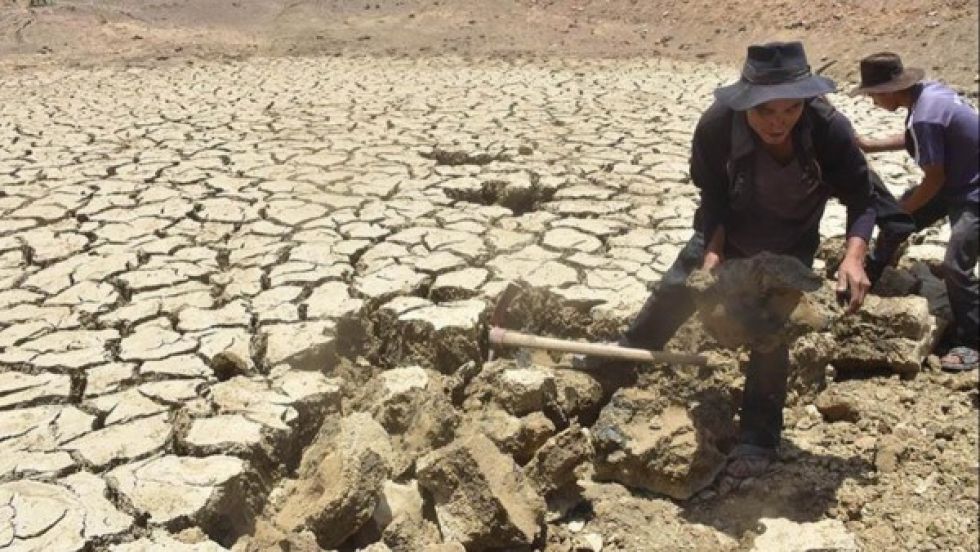 Siete departamentos son afectados por la sequía y escasez de agua