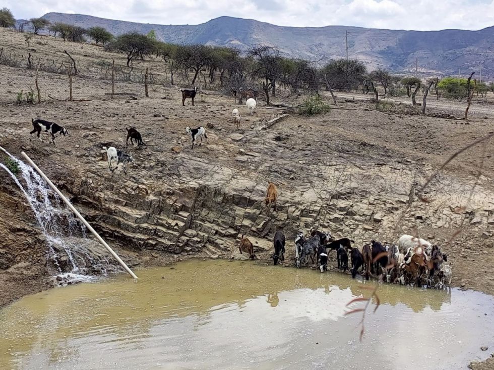 La sequía deja sin agua a seis municipios de Tarija