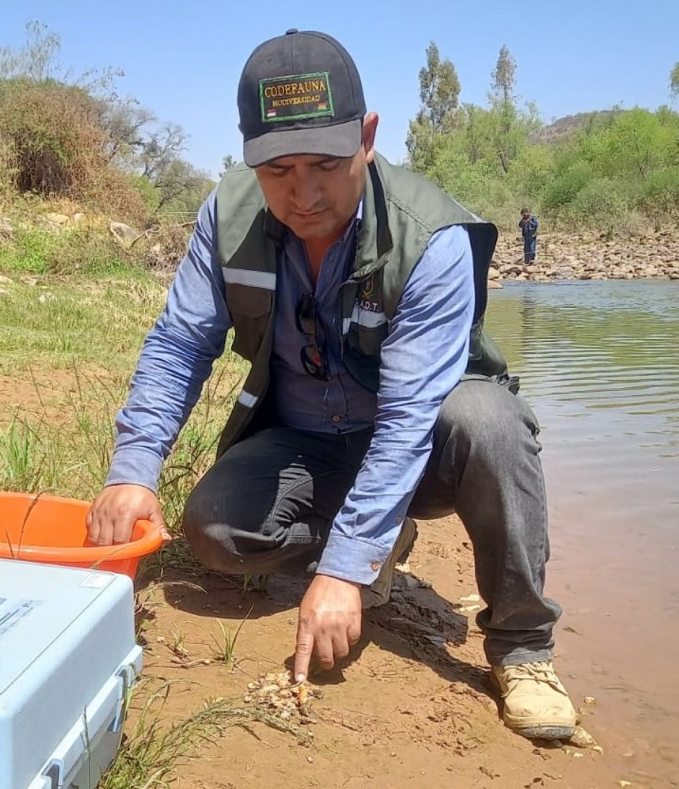 Gobernación afirma que mortandad de cangrejos en San Jacinto Norte se debió a dispersión de cal en el río