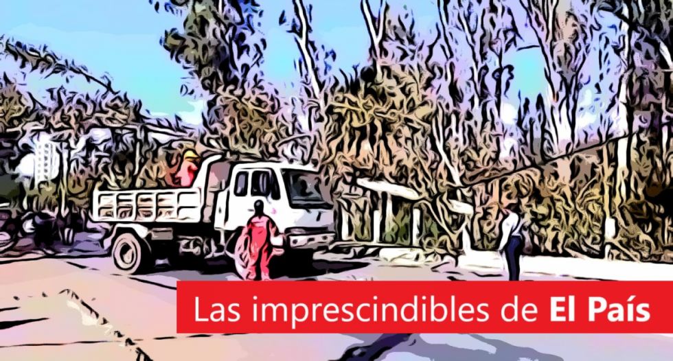 Despoblación, divisionismo y eucaliptos: Lee las imprescindibles de este miércoles