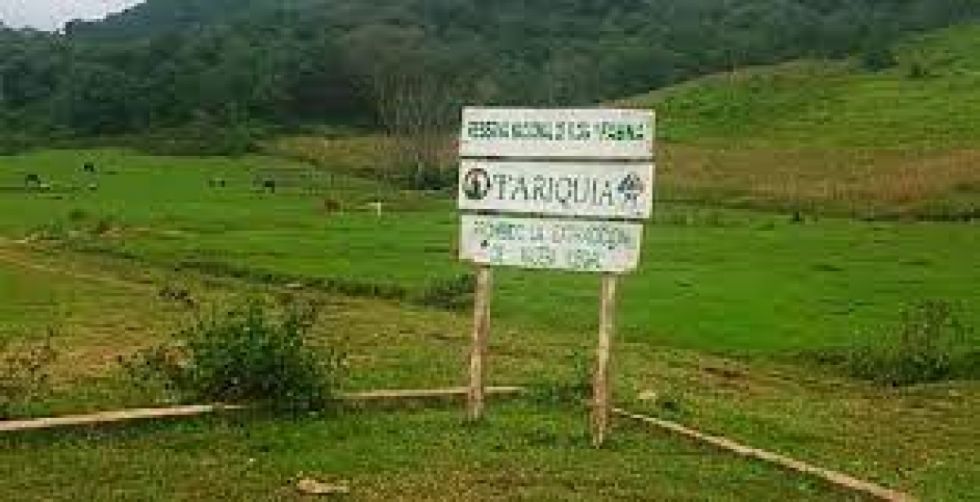 Diputada solicita informes sobre proyecto “de fuerza mayor” en Tariquía