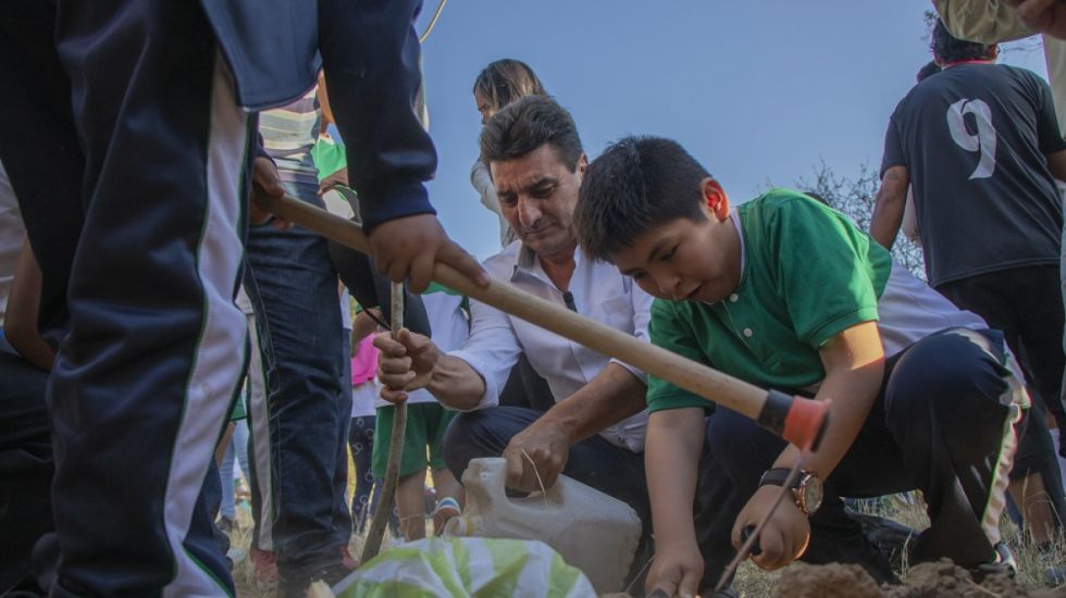 Tarija: Alcaldía despliega campaña de arborización con 100 mil plantines 