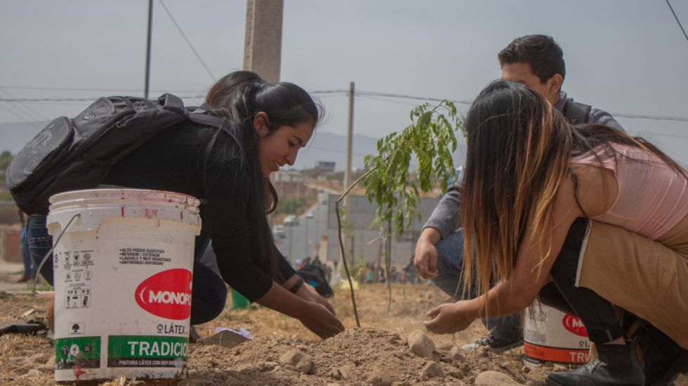 Alcaldía arboriza jardineras de la triple vía salida al sur de la ciudad 
