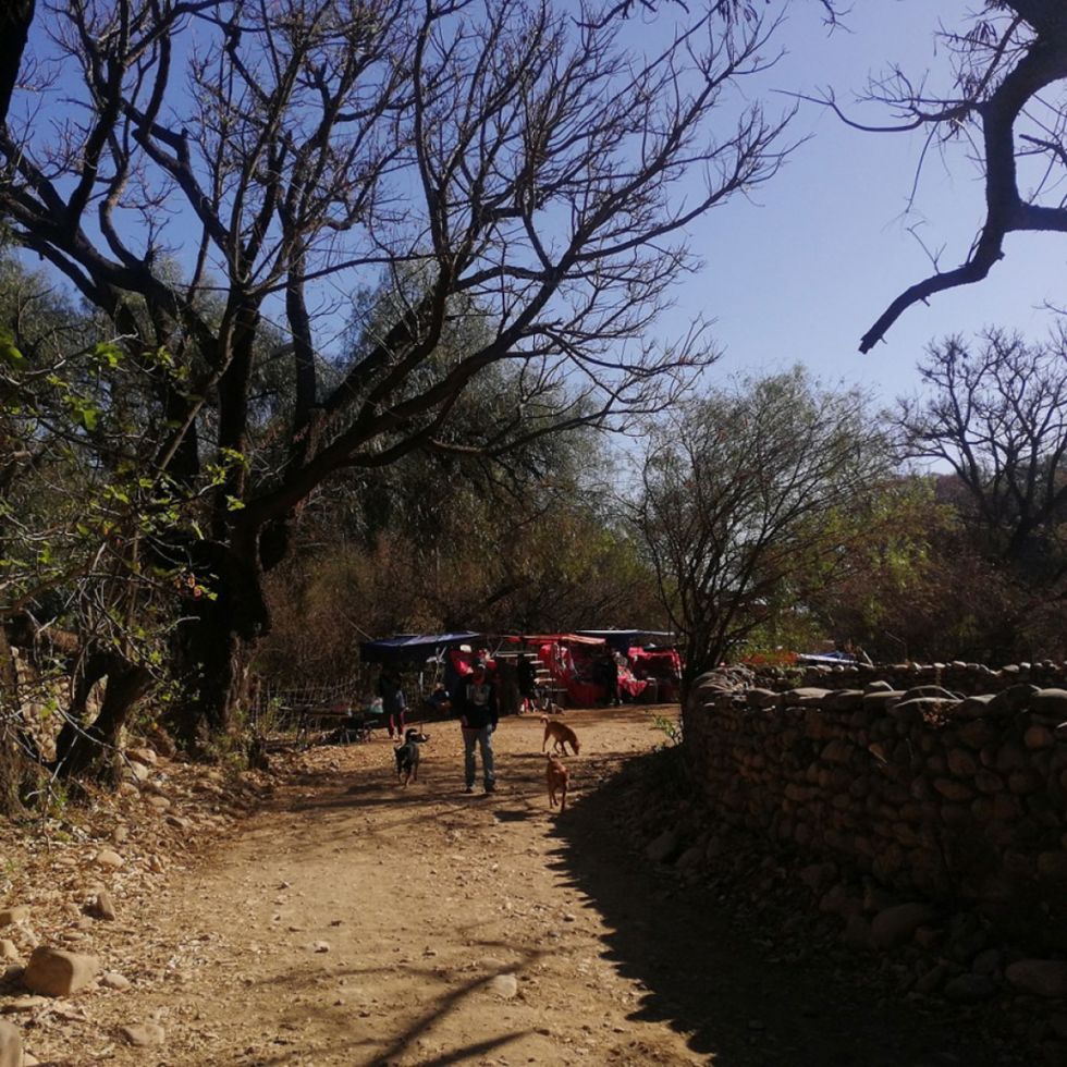 Paisajes de Tarija