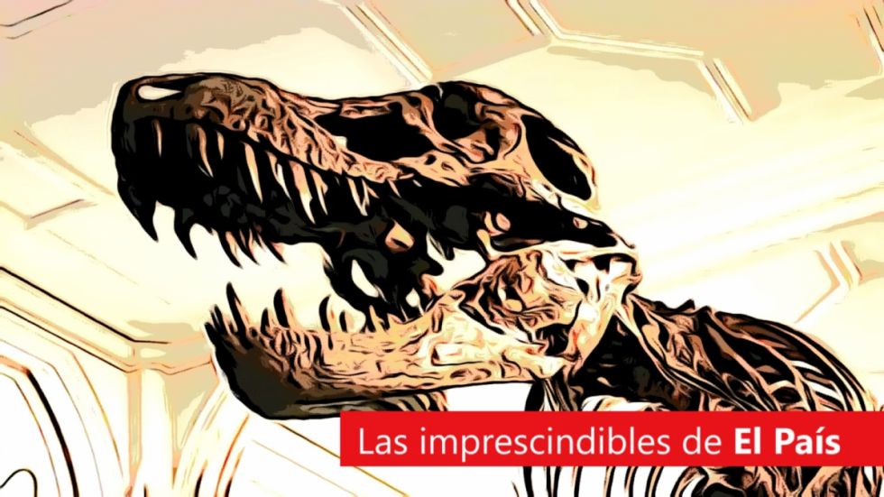 Cabildos, bombazos, ExpoSur y la "traición" de Ferrufino: Lee las imprescindibles de este martes