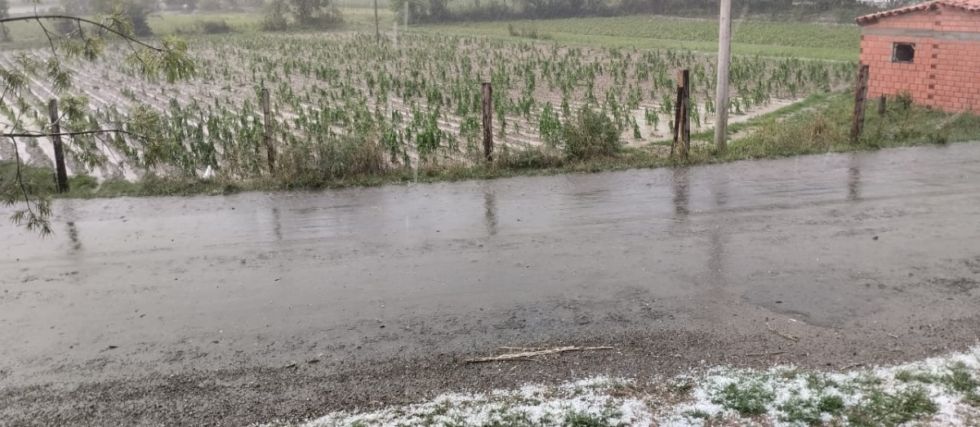 Granizada afecta al agro tarijeño