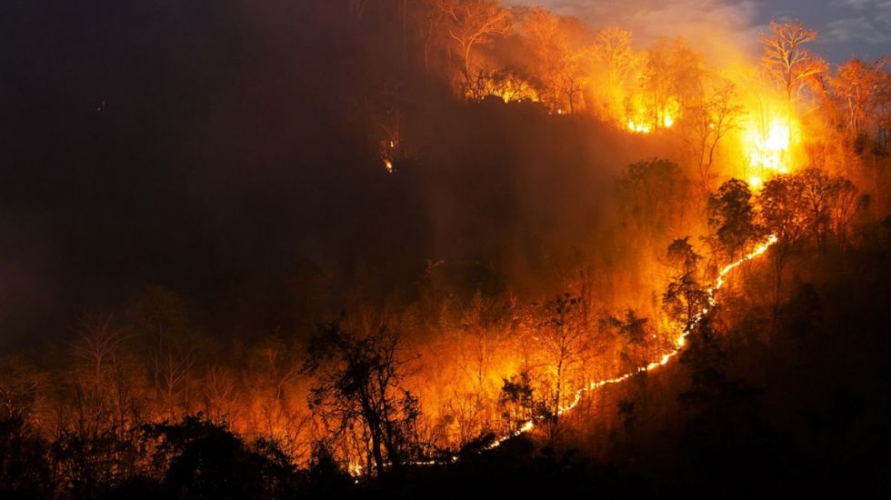 Incendio arrasa con 54 mil hectáreas en el Choré, denuncian que gente armada impide el ingreso de bomberos