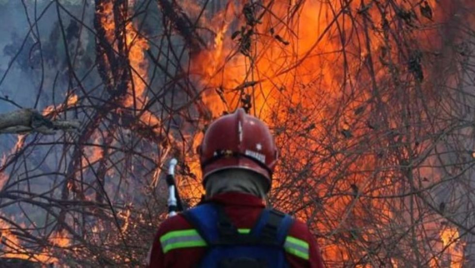 Incendios: Más de 2 millones de hectáreas se queman en Bolivia
