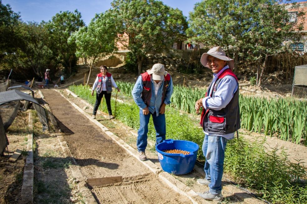 La Alcaldía de Tarija siembra 4.500 semillas de nogal 