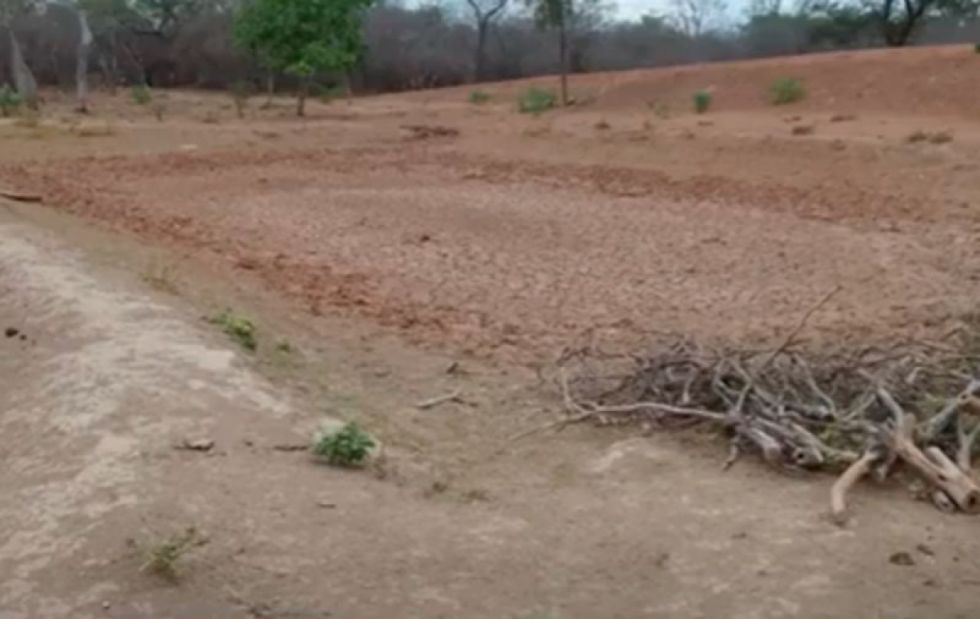 Chuquisaca: El Chaco perdió 8.349 ha por la deforestación