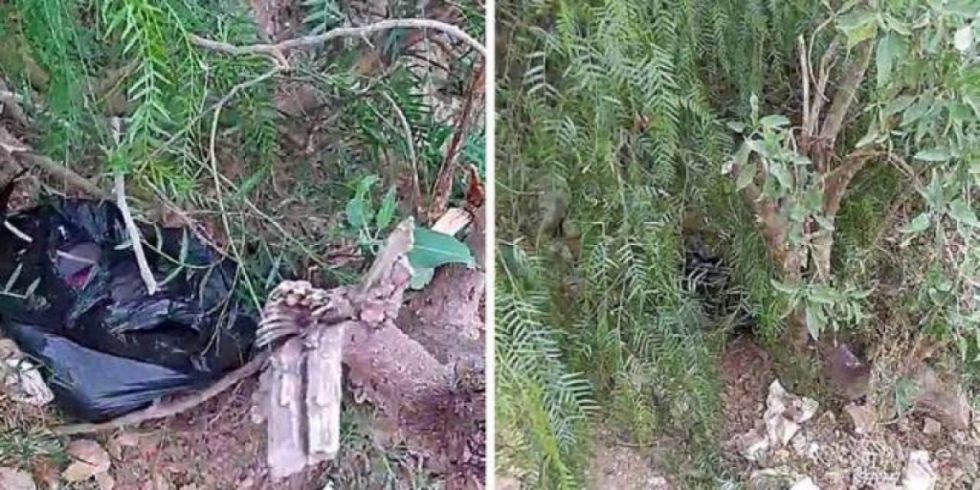 Una joven golpeó a su hija recién nacida, la abandonó y luego fingió un rapto Una joven golpeó a su hija recién nacida, la abandonó y luego fingió un rapto