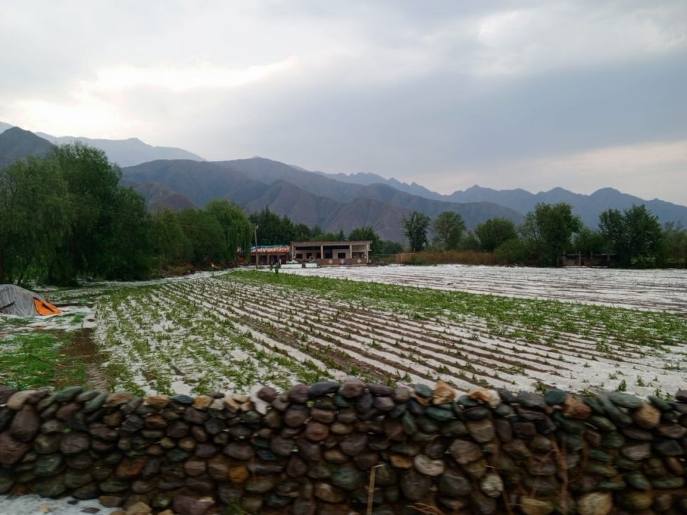 A 20 días de la granizada, los afectados aún esperan ayuda para volver a sembrar 