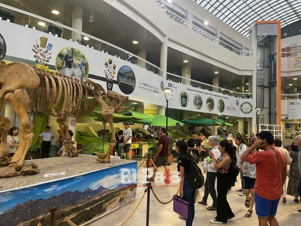 Los gigantes de Tarija cautivan a turistas y locales en el marco del Mundial de Ráquet