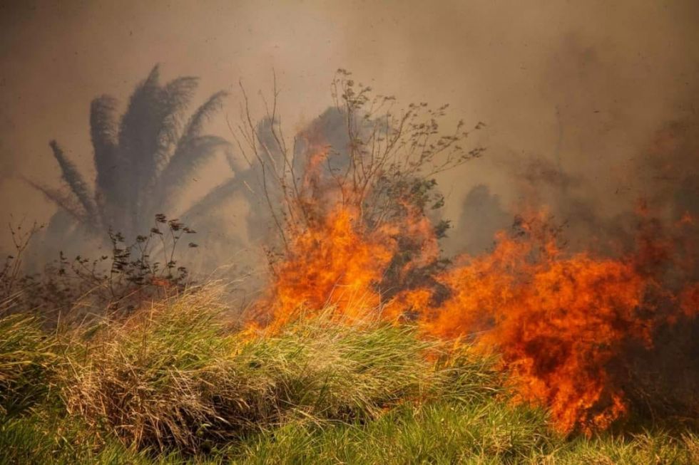 Más voces piden a Luis Arce abrogar las leyes incendiarias de Evo Morales y pedir ayuda internacional