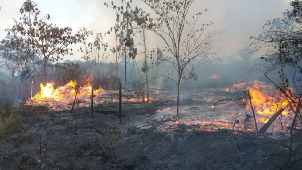 Indígena tacana: Sabemos quiénes iniciaron el fuego, se ha denunciado a la ABT, pero no procedieron