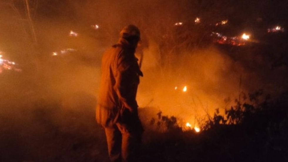 Relator de la ONU pide apagar los incendios