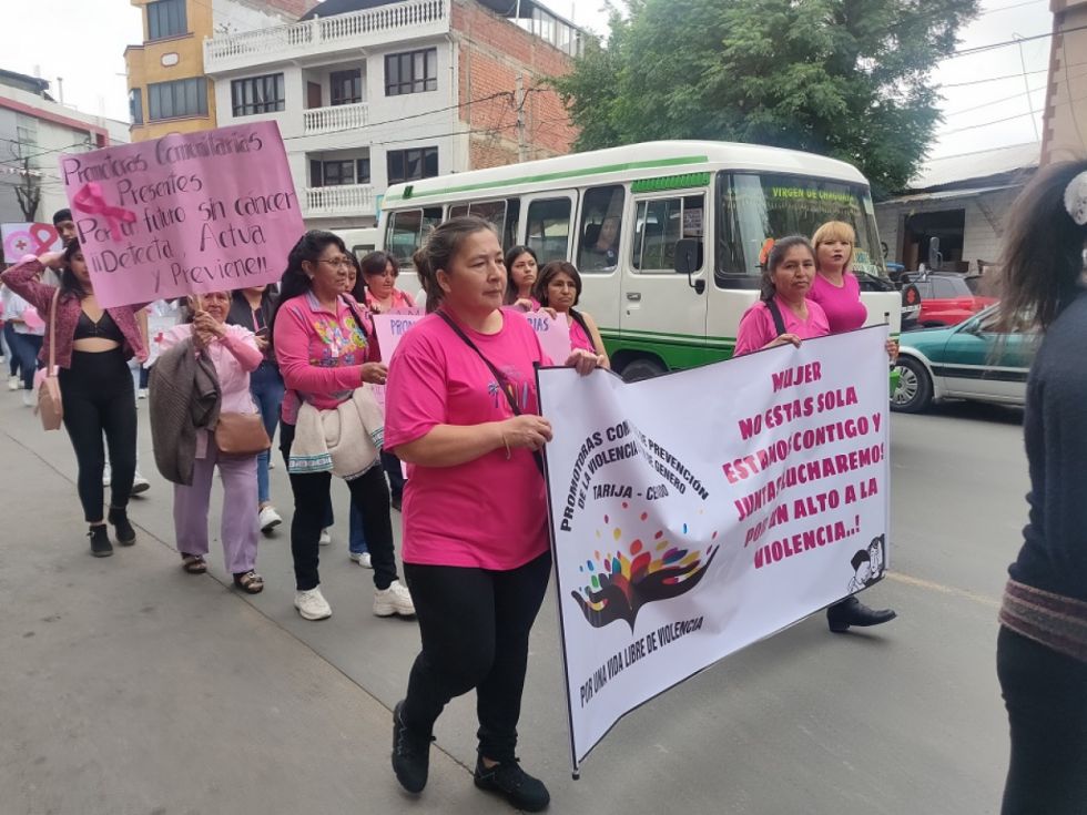 Marcha por la Conciencia sobre el Cáncer de mama en Tarija