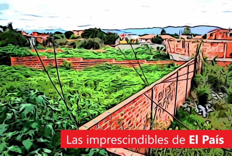 Lotes baldíos, lío de vivienda, estanflación Milei y mucho más: lee las imprescindibles de hoy