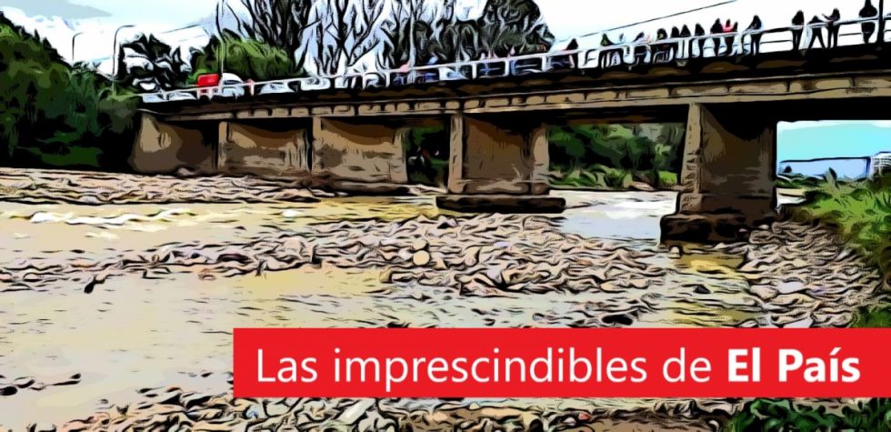 El "rochazo" reeditado, el 45%, horizonte Milei y mucho más: Lee las imprescindibles de este lunes