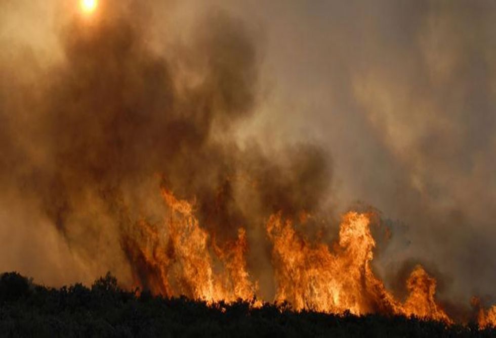 Más de mil ha consumidas por incendio en Chile
