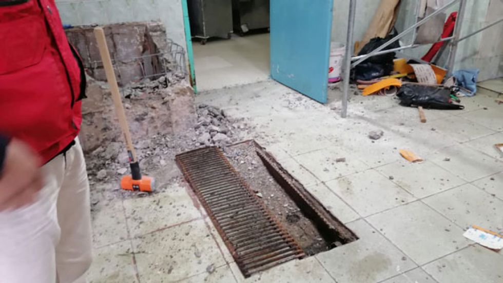 Hospital en El Alto tiene problema de infestación de hormigas