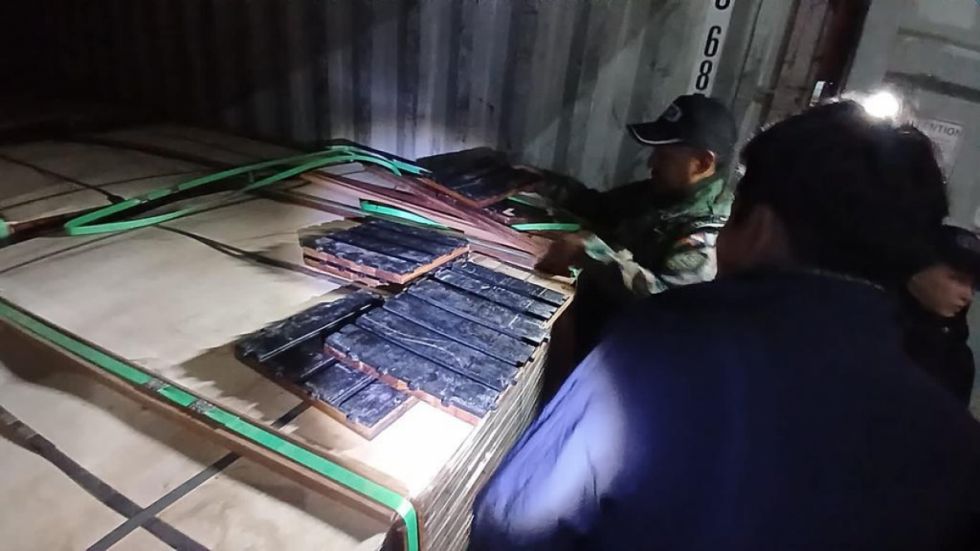 Hallan más de 8 toneladas de cocaína en tablones de madera, su destino era Bélgica 