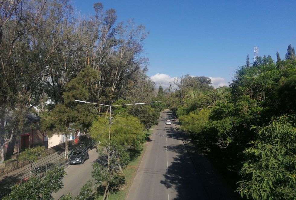 Avenida  de  la ciudad deTarija