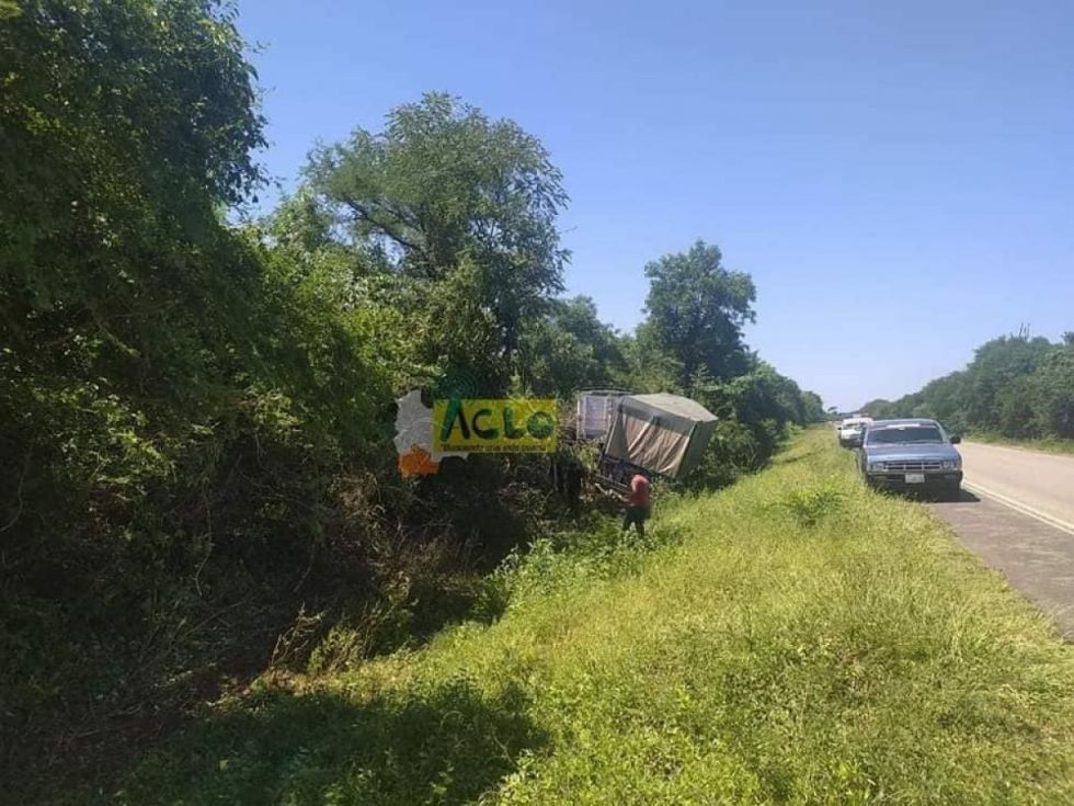 Camión de transporte pesado se sale de la vía en la ruta 9