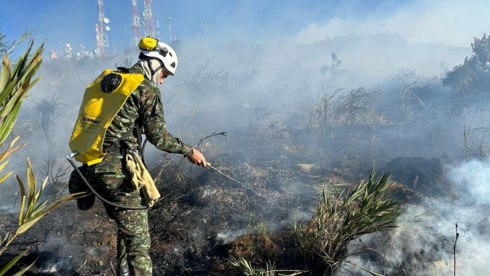 Colombia logra apagar 374 incendios forestales