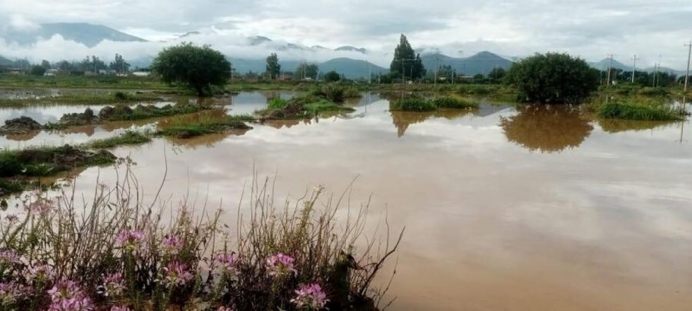 Riada en Arani afecta a más de 250 familias