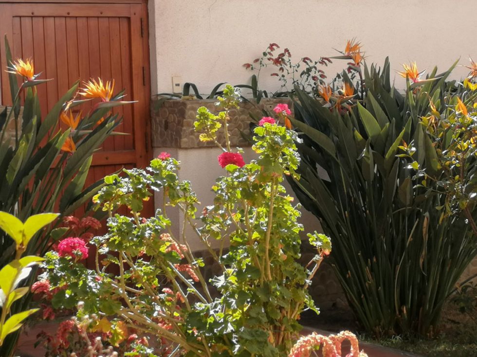 Jardines de la ciudad de Tarija
