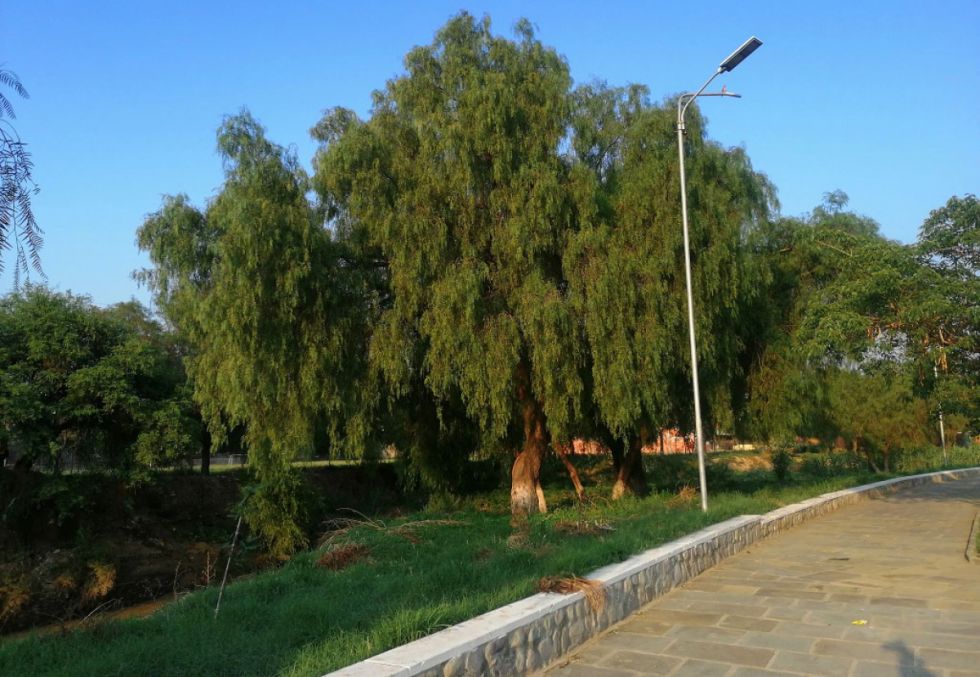 Plazas y parques atractivos de Tarija
