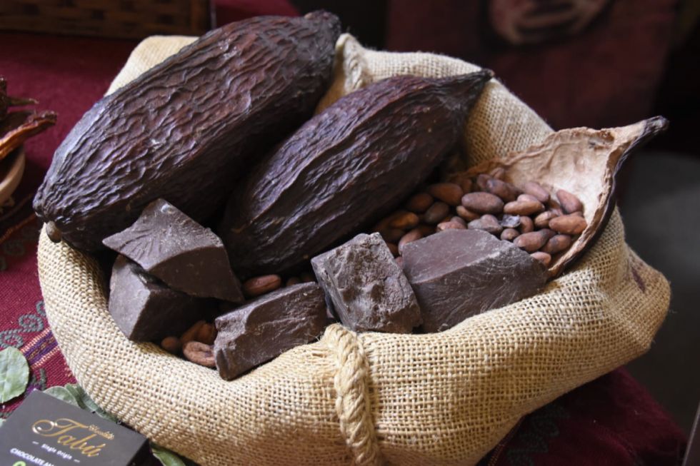 Exportaciones de cacao boliviano y preparaciones alcanzaron récord de casi $us 3 millones en 2023