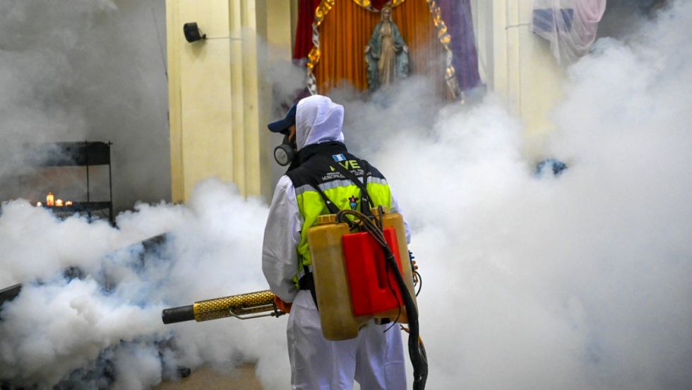 Dengue: Guatemala declara emergencia nacional Dengue: Guatemala declara emergencia nacional