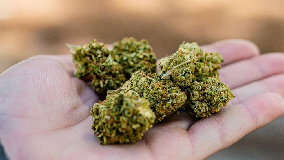 Gobierno de EE. UU. pidió reclasificar a la marihuana