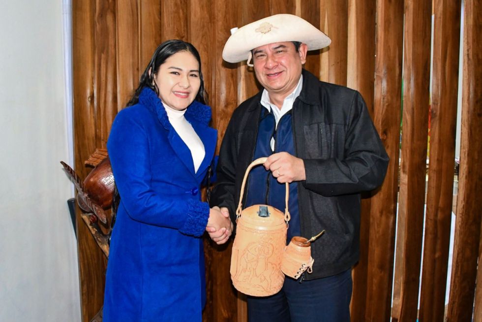 Asignan tres ítems para el Tecnológico de Villa Montes