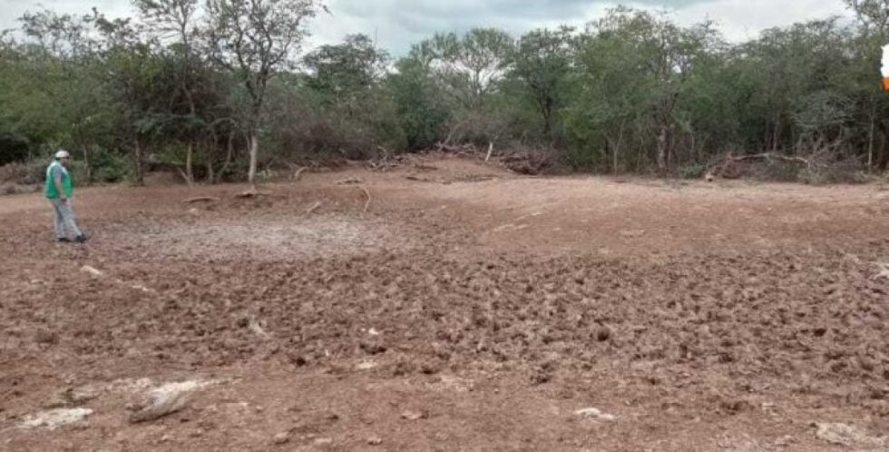 La llanura chaqueña de Villa Montes ya siente la falta de agua