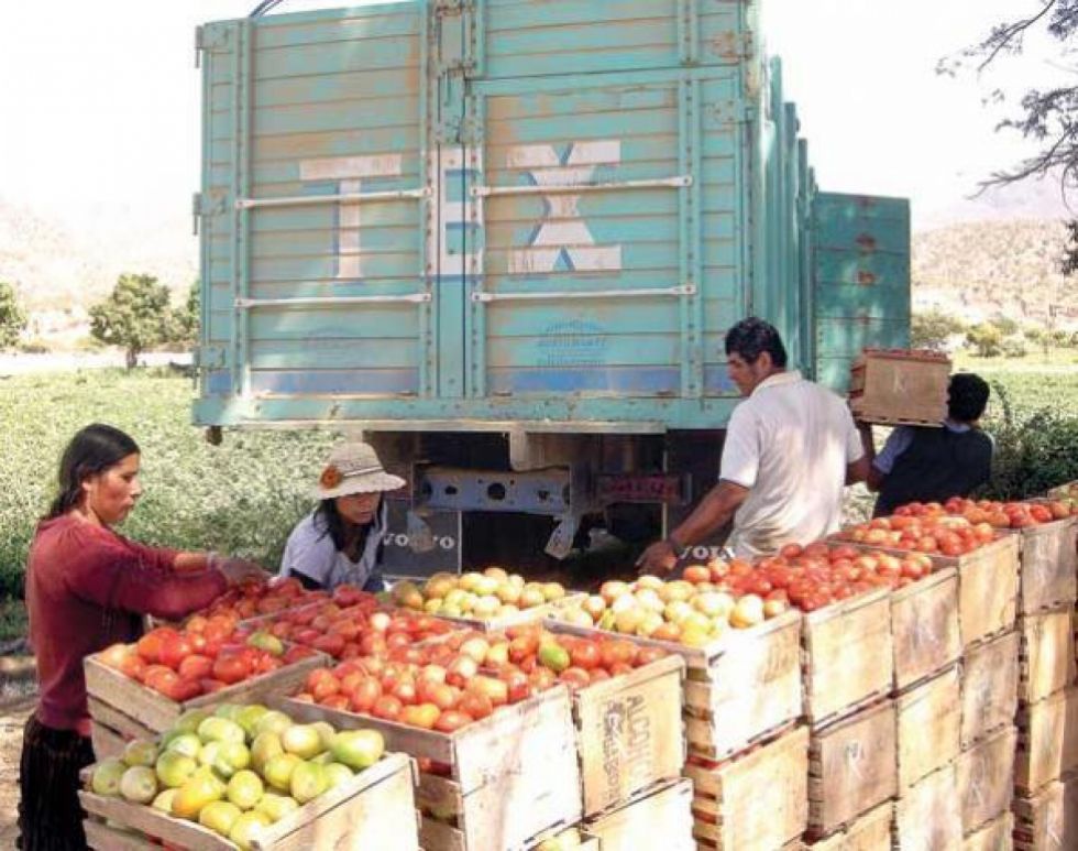 Montes atribuye el alza de precios en Tarija al “factor Argentina” 