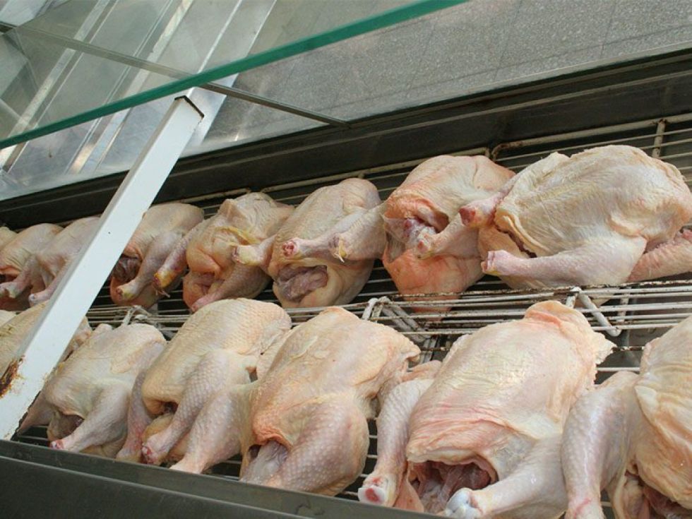 Suba del precio del pollo preocupa a la Fedjuve 