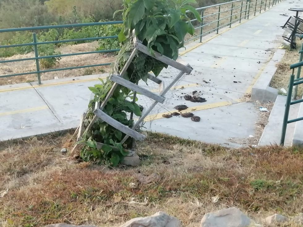 Deterioro o falta de atención 