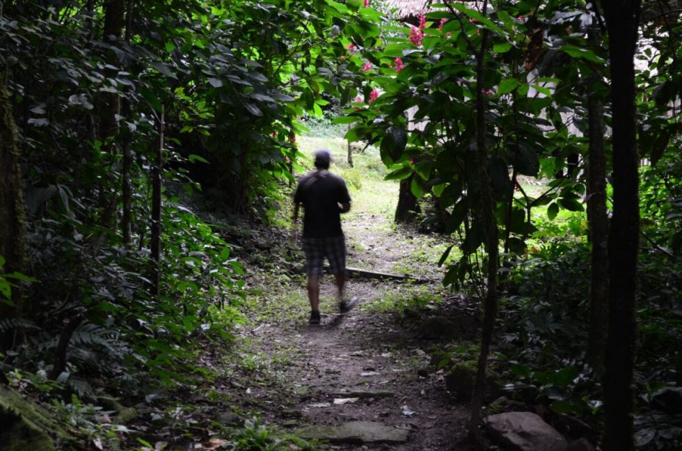 Corredores del Sadiri Lodge, en medio del bosque amazónico del Parque Madidi