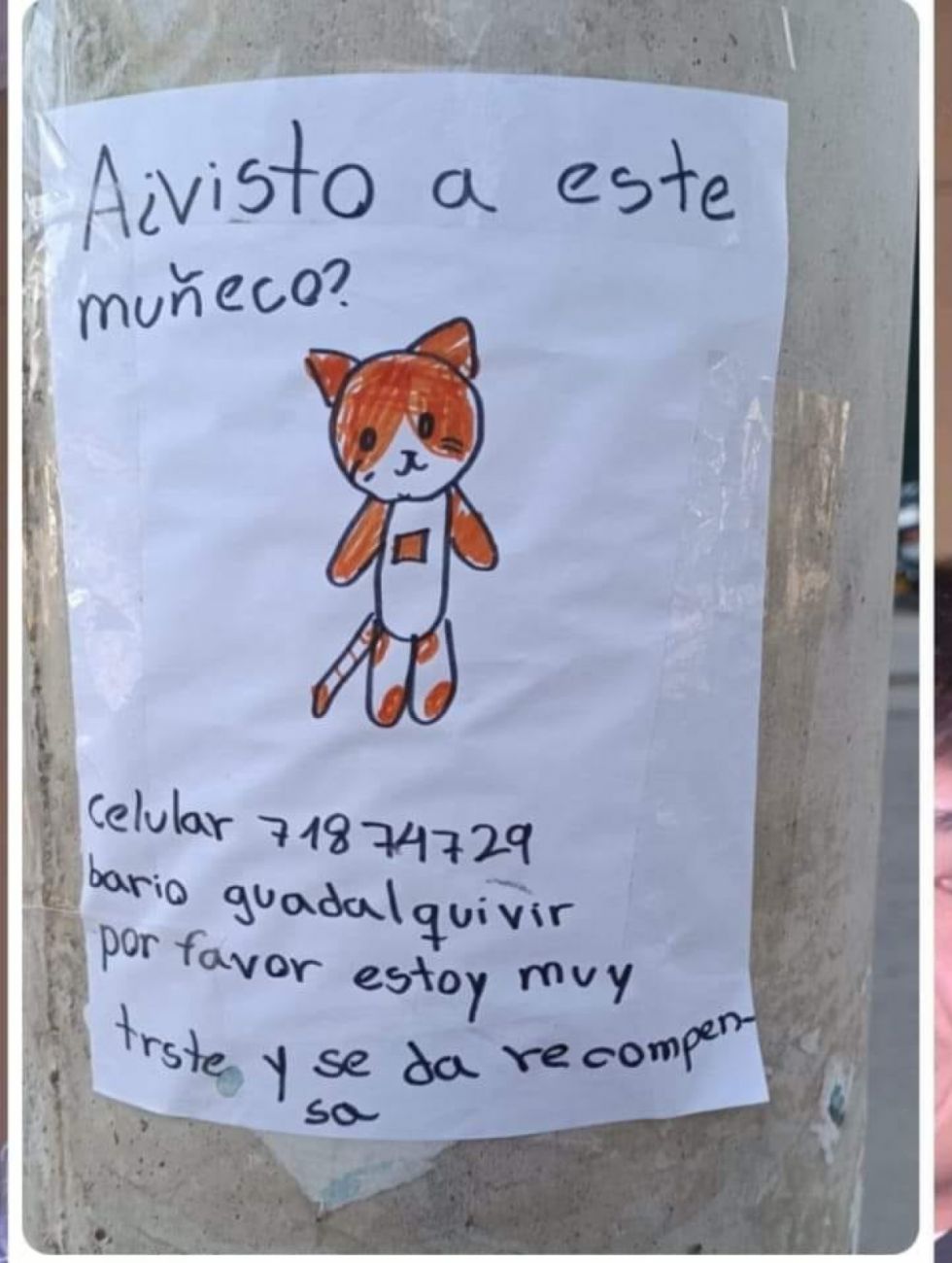 ¿Ha visto a este muñeco?, ofrecen recompensa por un juguete perdido 