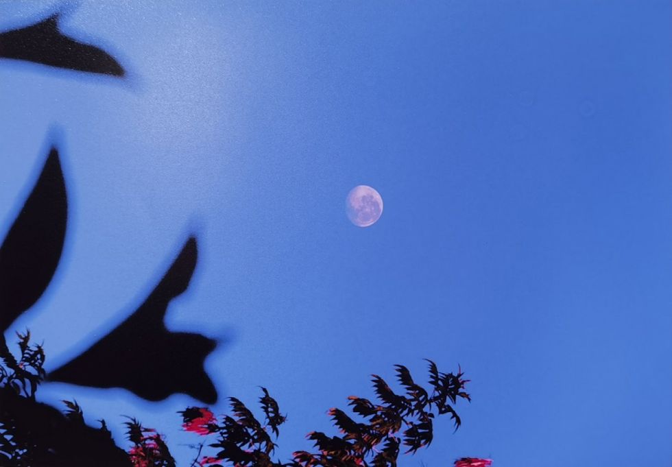 Luna