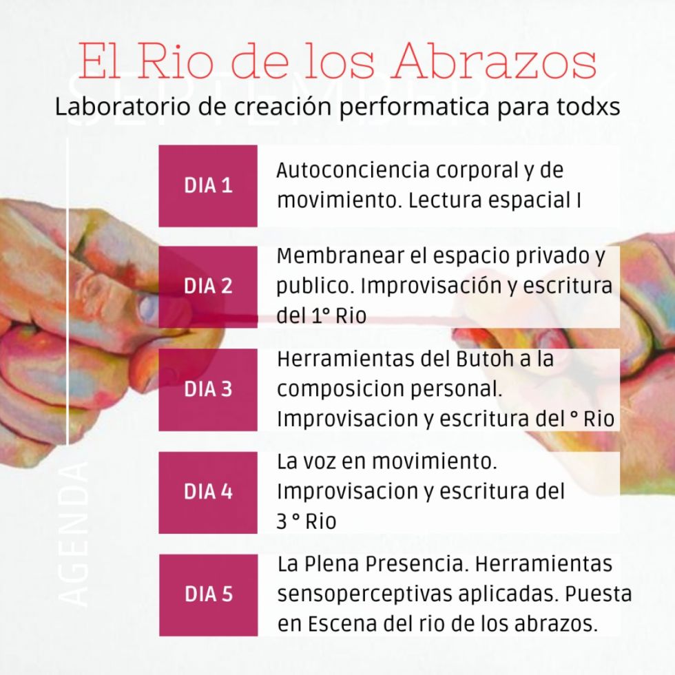 Programa del laboratorio de creación performática