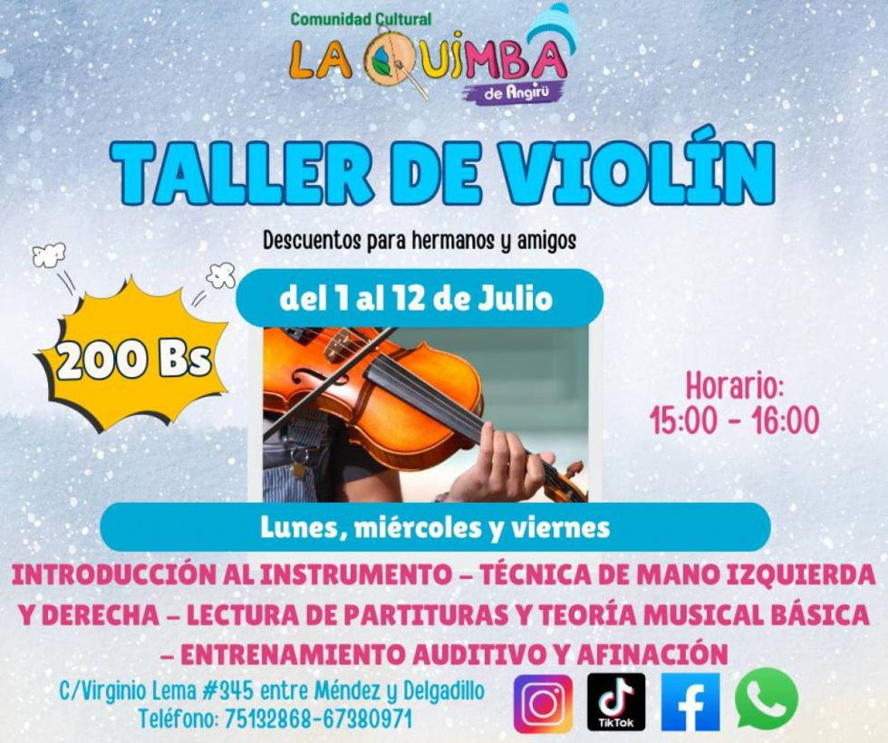 Violín