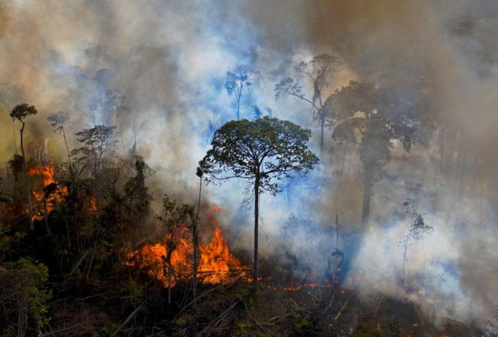 La Amazonia se marchita por la sequía y la deforestación