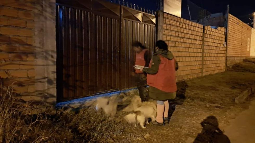 Zoonosis notifica a 150 dueños de canes dejados en la calle