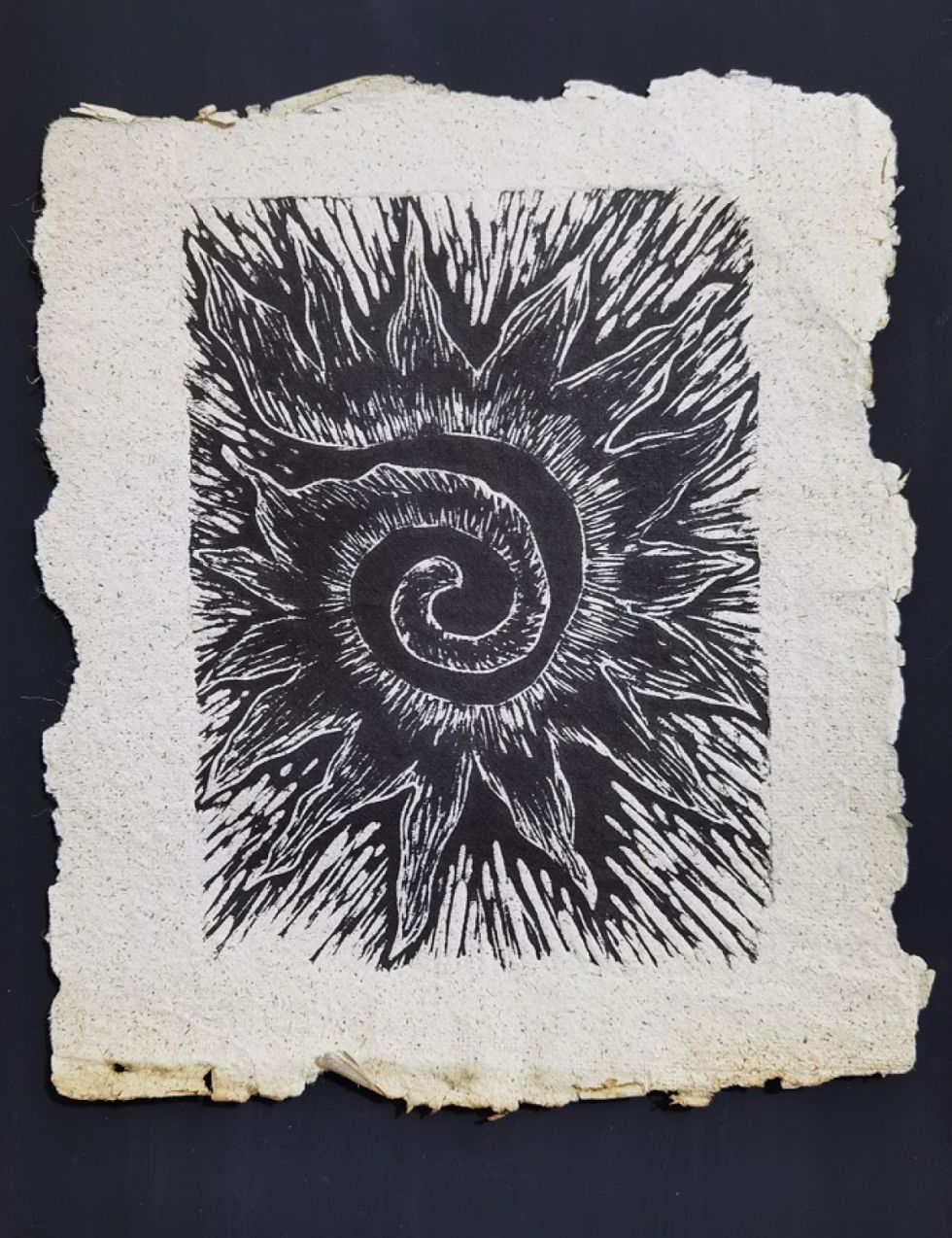 Sol